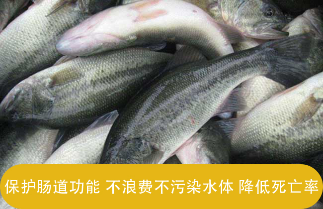 甜菜堿是新型魚飼料誘餌添加劑