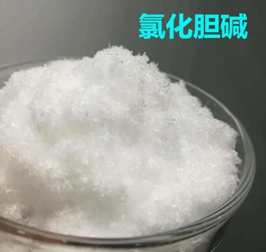 氯化膽堿：開啟健康飼料新時代的神奇添加劑