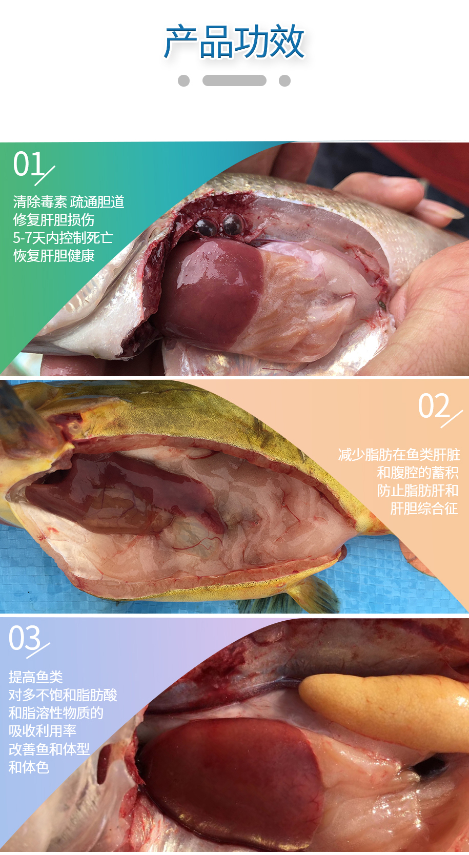 水產膽汁酸_07