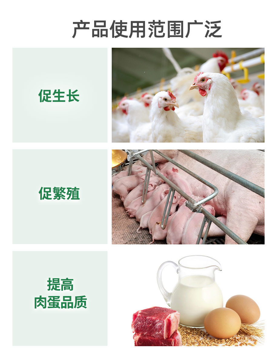 復(fù)合甜菜堿飼料級(jí)_07