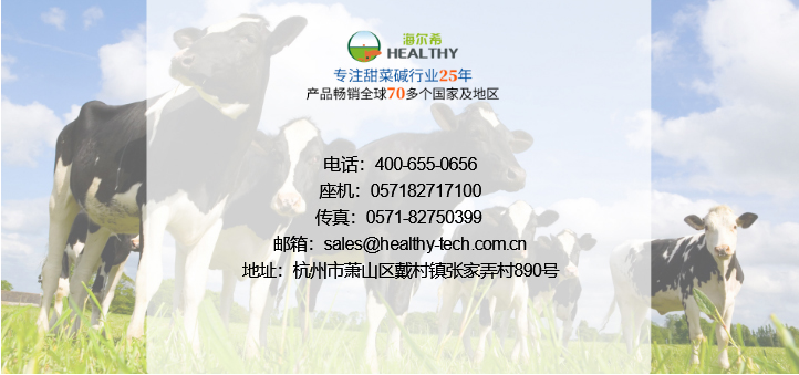 左旋肉碱——心脏的守护者，提升心肌能力与血液输出量的关键营养素