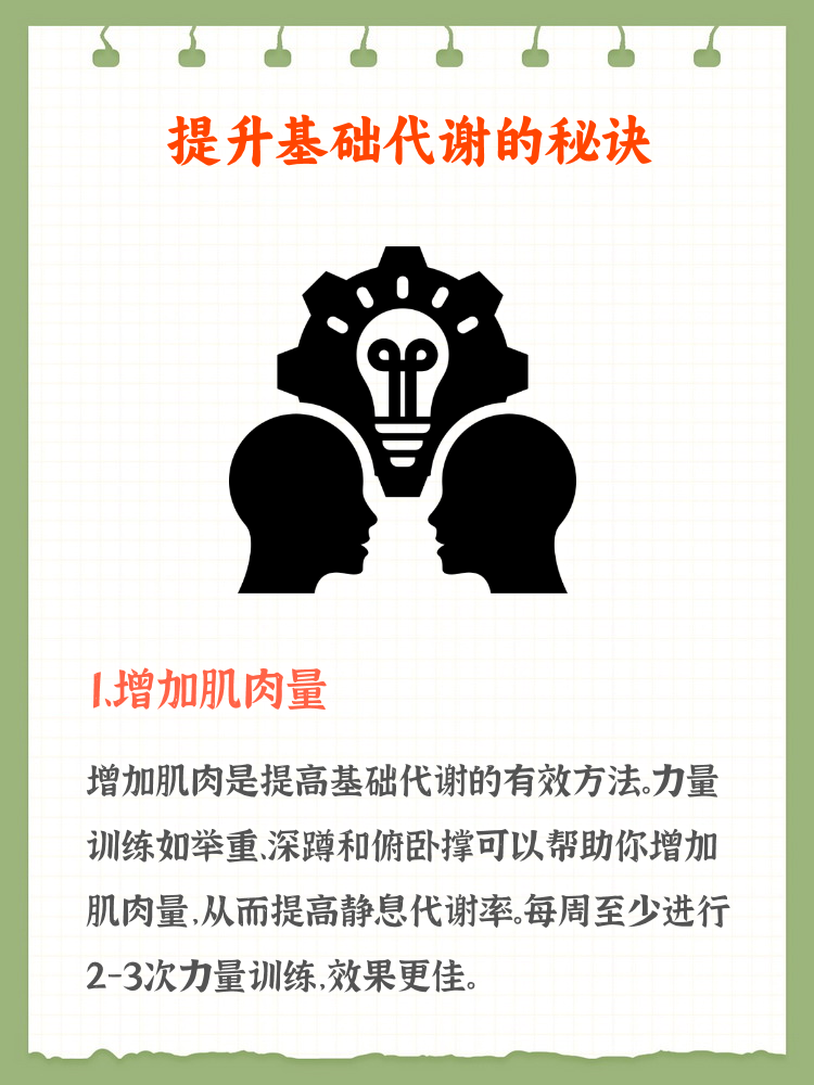 一水肌酸：全方位提升体能，抑制疲劳，增强肌肉质量与代谢健康